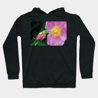 Rose Flower British Columbia Hoodie